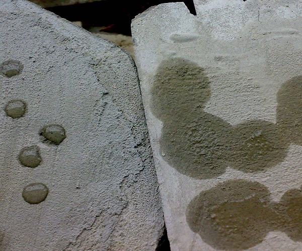 ���Ĺཬ��