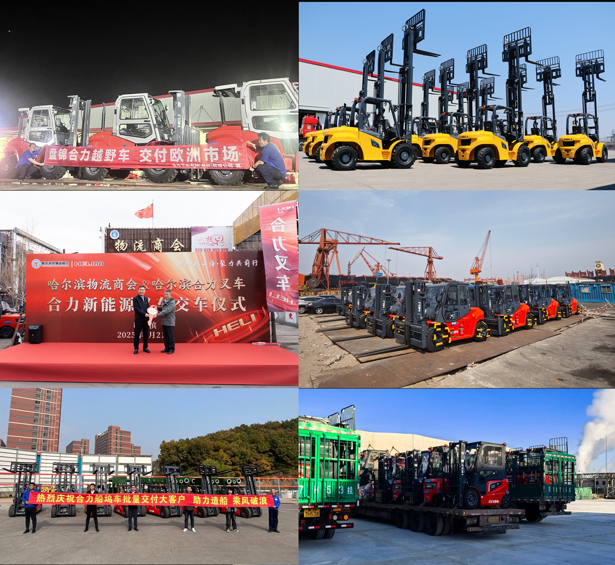 10.国内表客户定造车型批量交付市场1.png