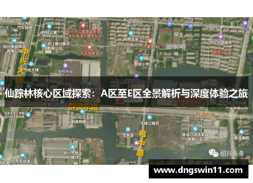仙踪林核心区域探索：A区至E区全景解析与深度体验之旅